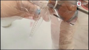 Определение состава пищевых продуктов