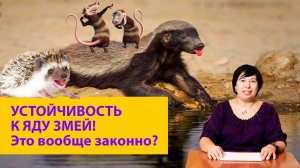 Появление яда у змей и устойчивости к нему у других животных. Наталья Носова