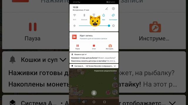 Снова играю в кошки и суп купил новую кофту для кота