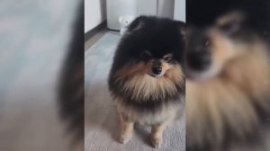 Как живёт Ким Тэхён или Ви из BTS и сколько он зарабатывает (часть 2)