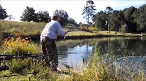 Ловля карпа на фидер на пруду