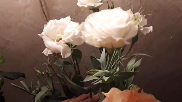 Чтобы зимовка эустому удалась...... смотреть онлайн