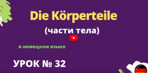 Die Körperteile части тела в немецком языке урок 32