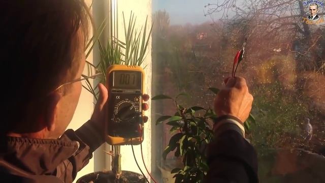 Валерий Белоусов. "Светодиод" - Инфакрасный спектр. смотреть онлайн