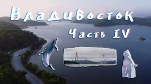 Владивосток 2023, часть 4, остров Русский, приморский океанариум   DOTR #53 #владивосток  #афалины