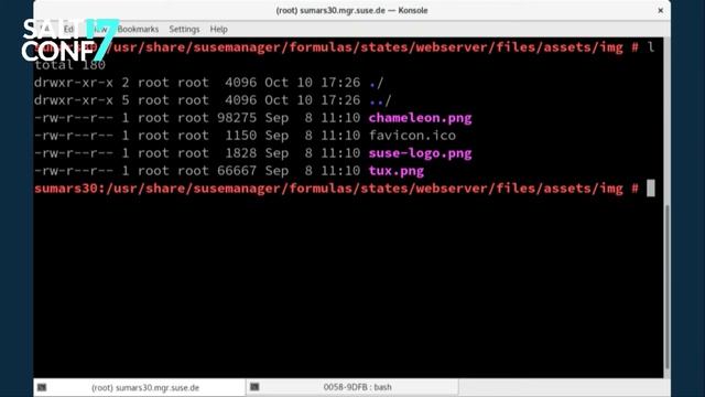 Salt Formulas with Forms and PXE Boot for Retail Infrastructure Management - SUSE - SaltConf17 смотреть онлайн