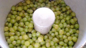 Натуральный виноградный сок из соковарки