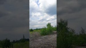 Припять. ПТЛРВ Песчаное Плато. Могильник 2018
