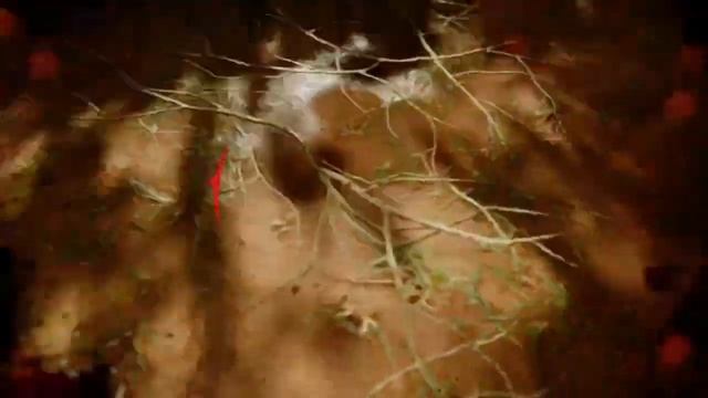 Прохождение Call of Duty Black Ops Cold War :Куба,Гавана, Воспоминания о Вьетнаме и Кто такой Белл смотреть онлайн