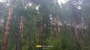 Июньская поездка в Челябинскую область и Башкирию на ниве, часть 6