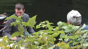 ДВУХКИЛОГРАММОВЫЕ ОКУНЯ рыбалка в ТАЙГЕ Саяно-Шушенское водохранилище ОСЕНЬ 2023