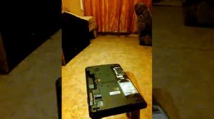 Разборка ноутбука Packard Bell