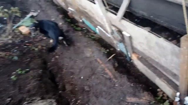 Подлив фундамента под дом