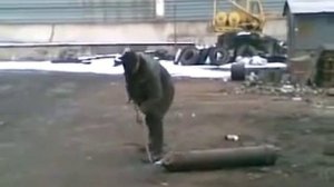 Газовый баллон и глупый мужик.   Эксперимент