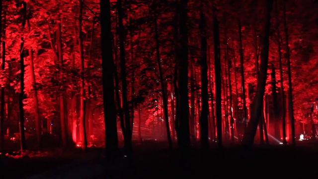 Festival of inspiration 2017 Moscow/ Фестиваль Вдохновение 2017 Москва