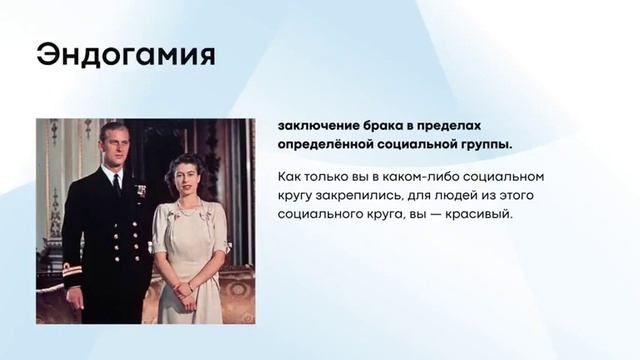 Психология красоты. Лекция кандидата психологических наук, основателя аккаунта Black Square Brand
