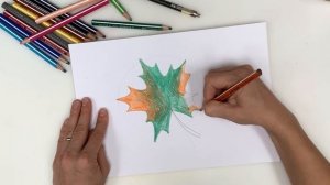 Кленовый лист. Рисуем кленовый листок. Поэтапное рисование. Урок рисования для детей.