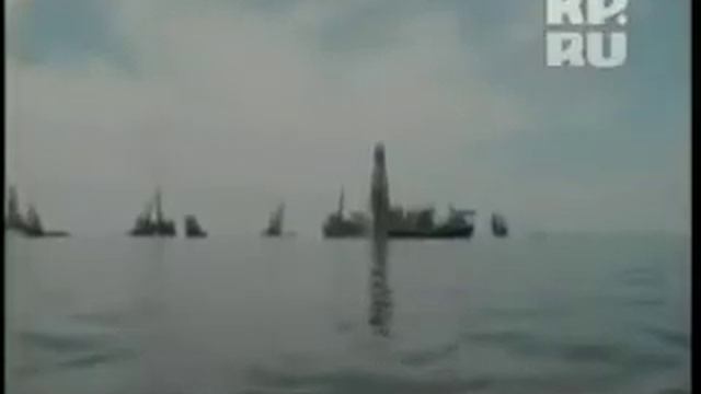 Гольфстрима больше не существует из-за розлива нефти в Мексиканском заливе