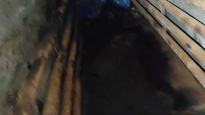 ГАЗЕЛЬ С ИВЕКОВСКОЙ КПП ПРИЕХАЛА НА ДИАГНОСТИКУ
