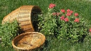 КЛУМБА Идеи Красивой ОРИГИНАЛЬНОЙ КЛУМБЫ Дачный и Садовый Декор