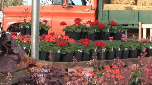 French Prairie Ladies Night смотреть онлайн