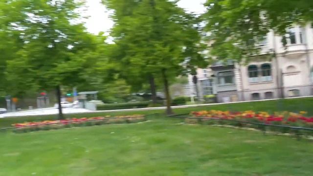 Tulips Flowers in Sodertalje Centrum Sweden смотреть онлайн