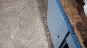 Самодельная воздуходувка(садовый пылесос)