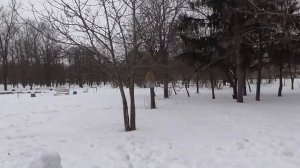 ПАРК ХИМИКОВ  В ЧЕРКАССАХ. 06.01. 2019