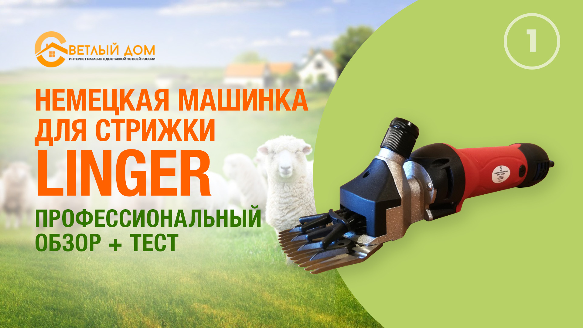 1. Обзор машинки для стрижки овец Linger. Стрижем овцу машинкой. Немецкая машинка для стрижки овец.