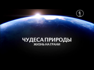 Чудеса природы. Жизнь на грани. Вода