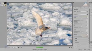 Основные установки Camera Raw