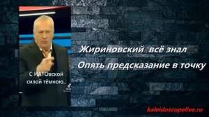 Жириновский всё знал. Опять предсказание в точку