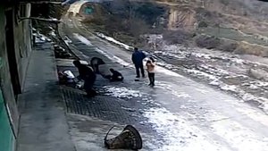 НАПАДЕНИЕ КАБАНА - ПОГИБ МУЖЧИНА , А ДЕВУШКА ОСТАЛАСЬ ЖИВА ПОСЛЕ ЕГО УДАРОВ / ATTACK OF WILD BOAR