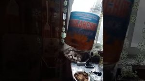 Мышеловка из пластиковой бутылки