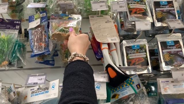 ❗️ПОКУПАЮ НОВОГО ПИТОМЦА ❗️
