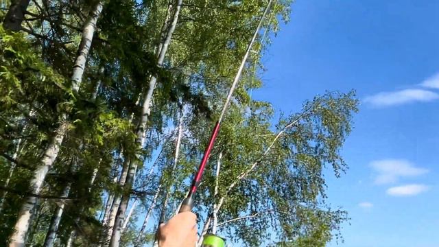 3 дня на ЯУЗСКОМ водохранилище. Ловля всего подряд и отдых от цивилизации