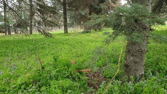 Сербия в первую очередь Балканы или Европа? смотреть онлайн