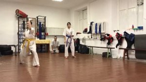 Занимательный Кихон 5 кю. Мороаси-дати, Дзенкуцу-дати. Свободная форма. Подготовка к экзамену