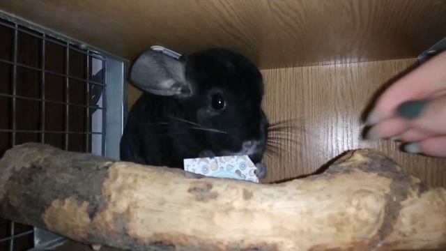 Посылка от зрителя? смотреть онлайн