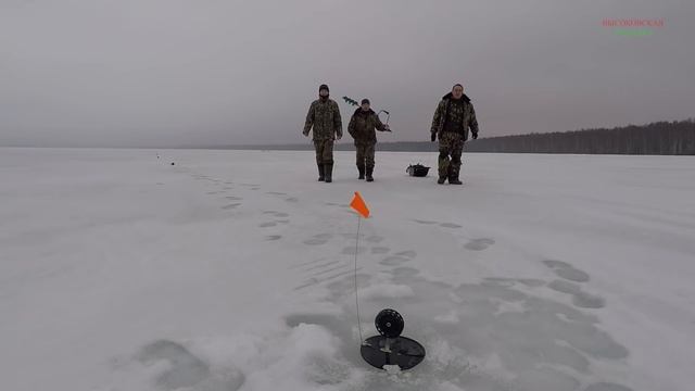 ловля щуки на жерлицы в апреле 2017. ловля щуки на жерлицы по последнему льду смотреть онлайн