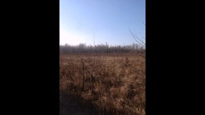 Как мы шли на гектар! #Дальневосточный гектар