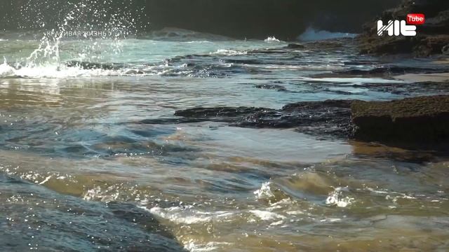 Новый творческий союз Gucci и Balenciaga/ Первая ювелирная коллекция Louis Vuitton смотреть онлайн