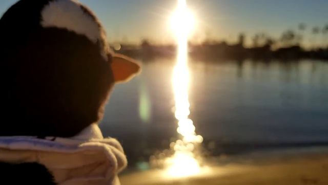 Got a minute to chill with TooToo the stuffed Gentoo Penguin? смотреть онлайн