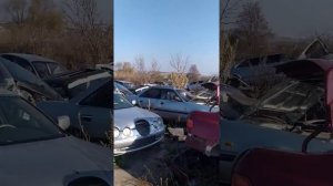 Авторазбор Белгородская область много машин битые авто разборка Белгород autodismantling russia