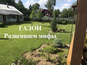 Газон своими руками. Просто, быстро, недорого.