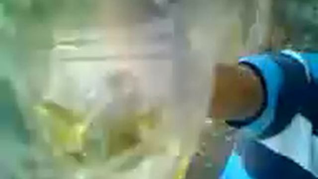 Это моё Ссаньё смотреть онлайн