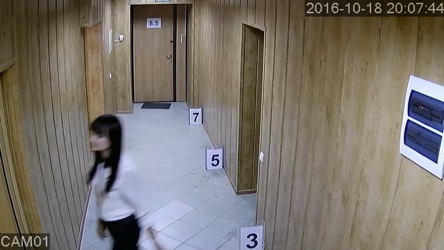 Видеокамера Tigris Talv-d10-2 коридор смотреть онлайн