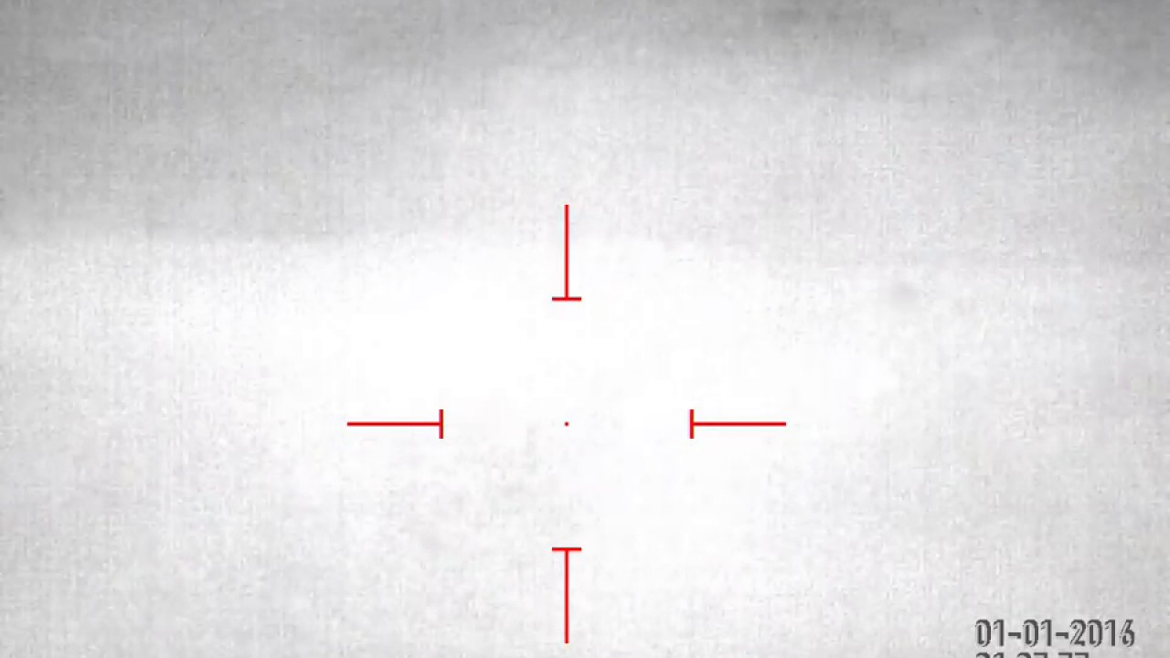 Добыли двух свинюх с тепловизора от ATN MARS-HD смотреть онлайн