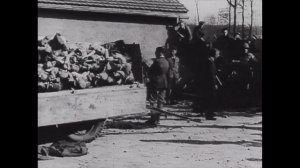 "Buchenwald: The Forbidden Photos" ~ complete film