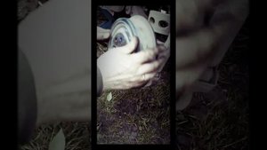 Замена колодок заднего колеса на Нексии N150